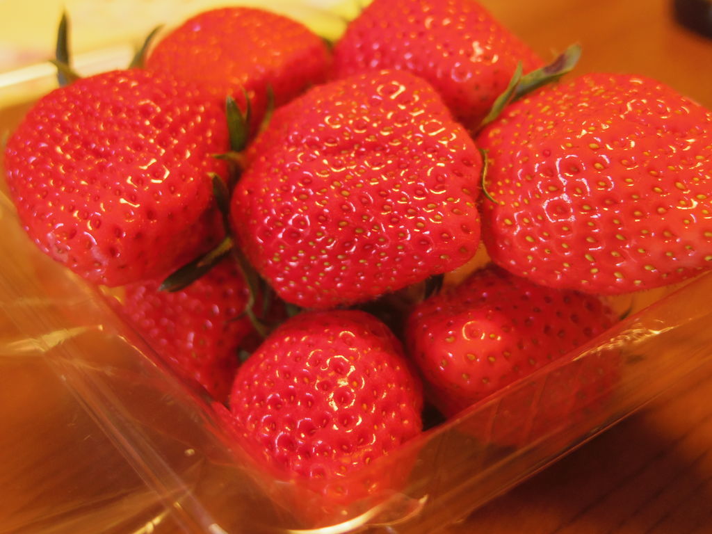 f:id:yu-snfkn:20190306192110j:plain