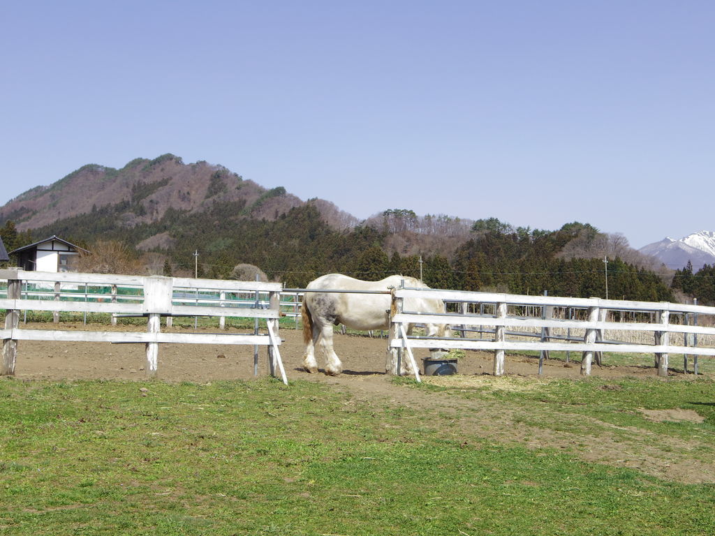 f:id:yu-snfkn:20190312175410j:plain