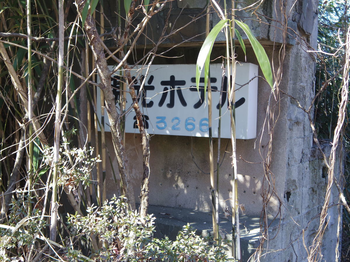 f:id:yu-snfkn:20190422224306j:plain