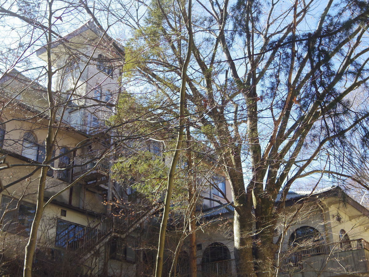 f:id:yu-snfkn:20190422224500j:plain