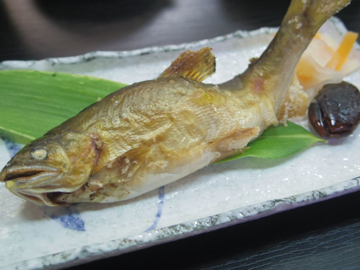 f:id:yu-snfkn:20190424134903j:plain