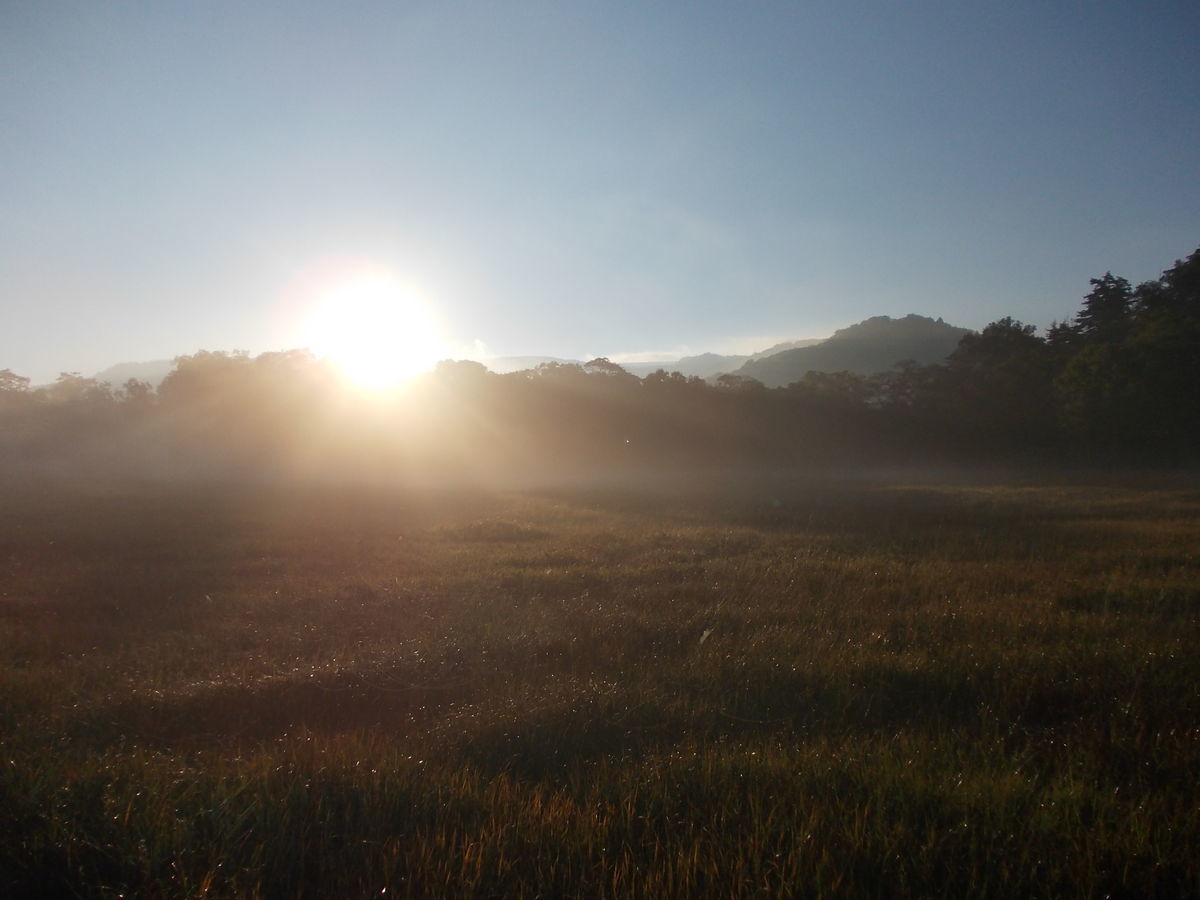 f:id:yu-snfkn:20190427233200j:plain