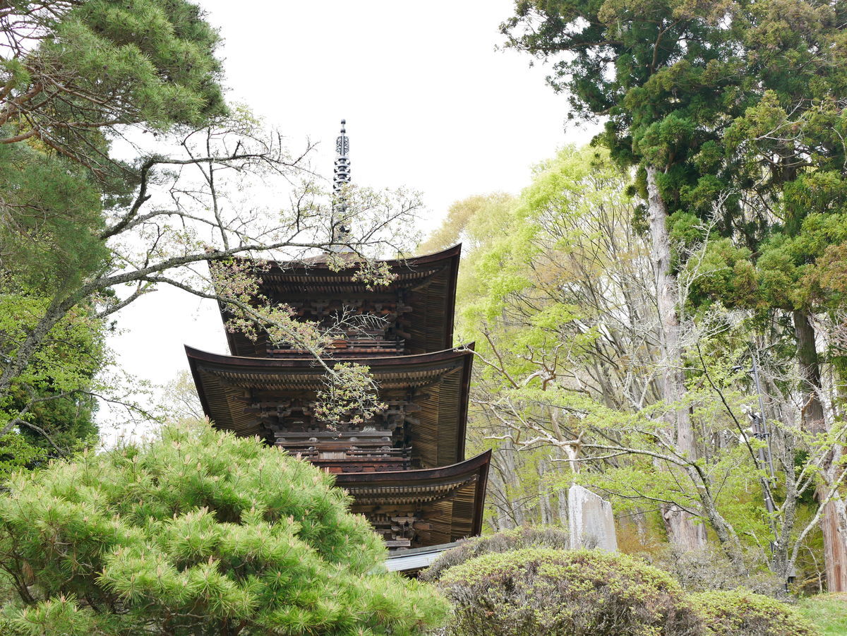 f:id:yu-snfkn:20190514190535j:plain f:id:yu-snfkn:20190514190535j:plain