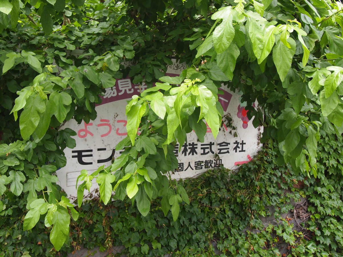 f:id:yu-snfkn:20190526145922j:plain f:id:yu-snfkn:20190526145922j:plain