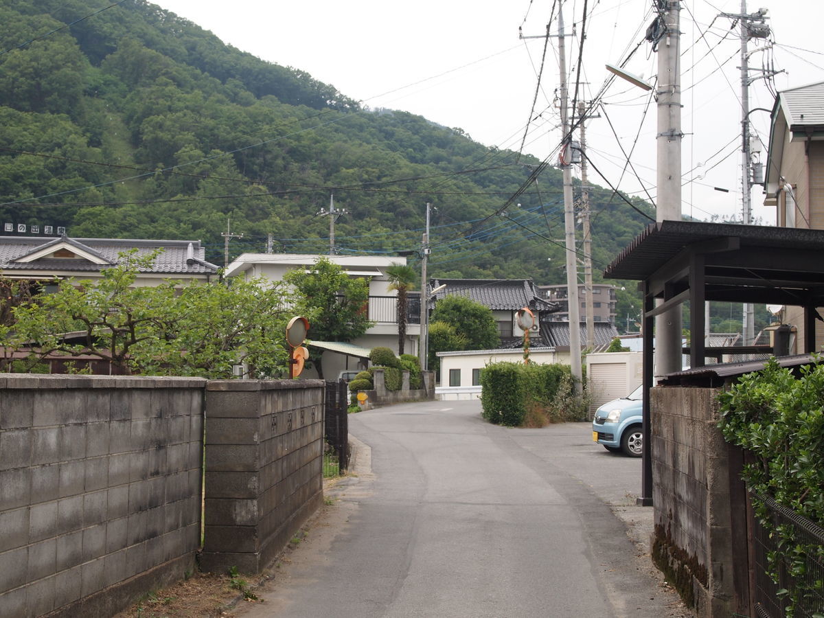 f:id:yu-snfkn:20190526151051j:plain f:id:yu-snfkn:20190526151051j:plain