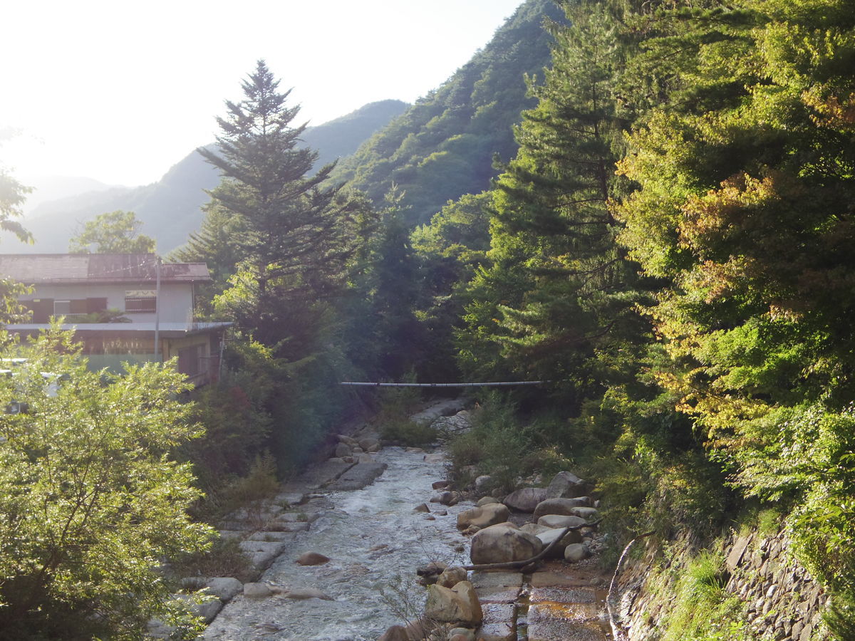 f:id:yu-snfkn:20190613231910j:plain f:id:yu-snfkn:20190613231910j:plain