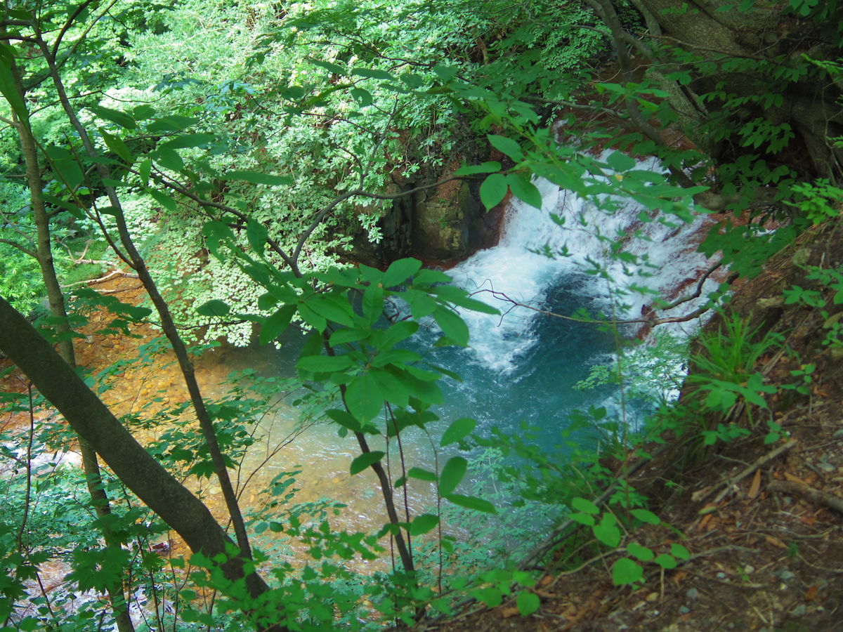 f:id:yu-snfkn:20190614122156j:plain f:id:yu-snfkn:20190614122156j:plain