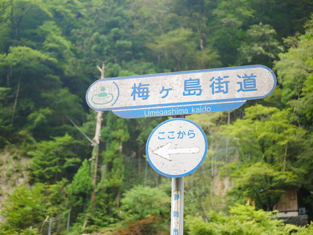 f:id:yu-snfkn:20190814194346j:plain