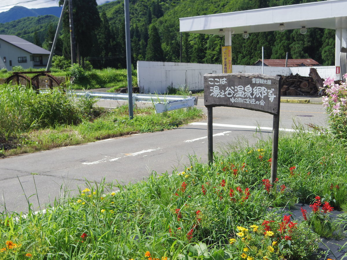 f:id:yu-snfkn:20190910091818j:plain f:id:yu-snfkn:20190910091818j:plain