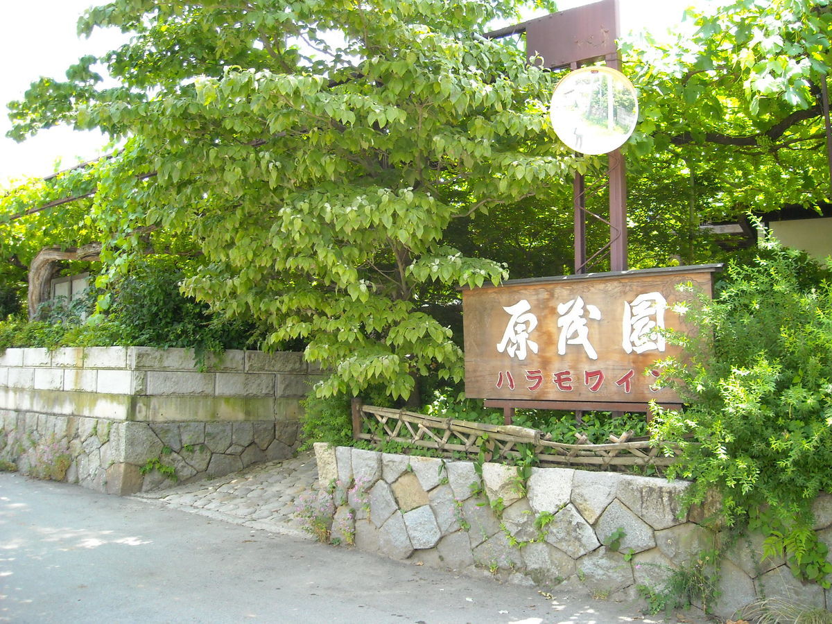 f:id:yu-snfkn:20191030125525j:plain