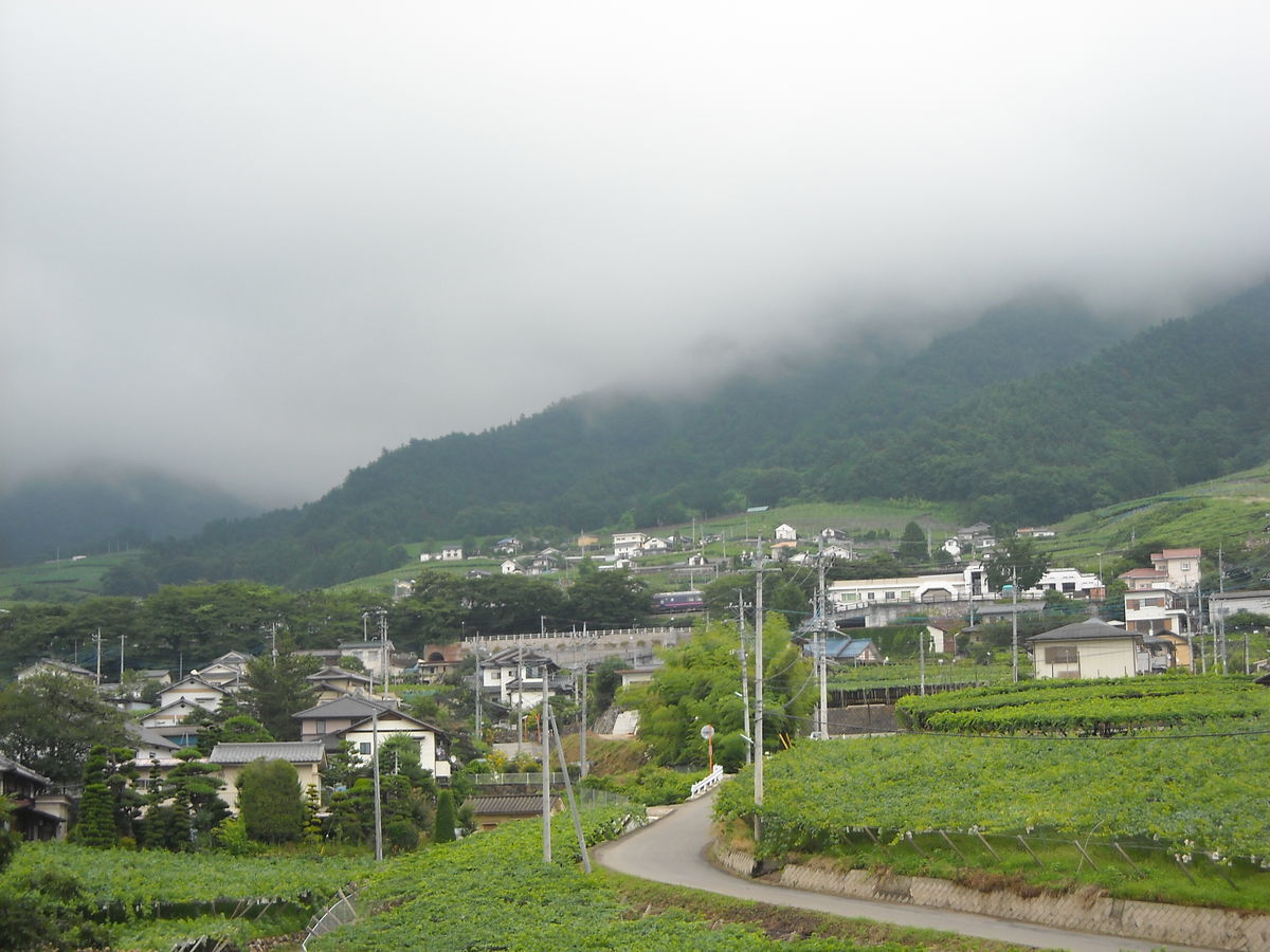 f:id:yu-snfkn:20191030153409j:plain