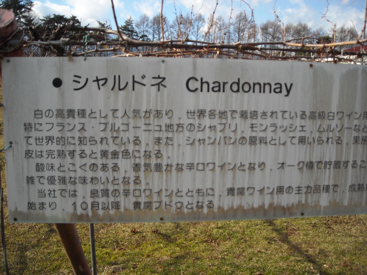 f:id:yu-snfkn:20191030154313j:plain