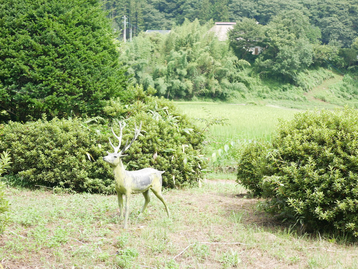 f:id:yu-snfkn:20191224190120j:plain