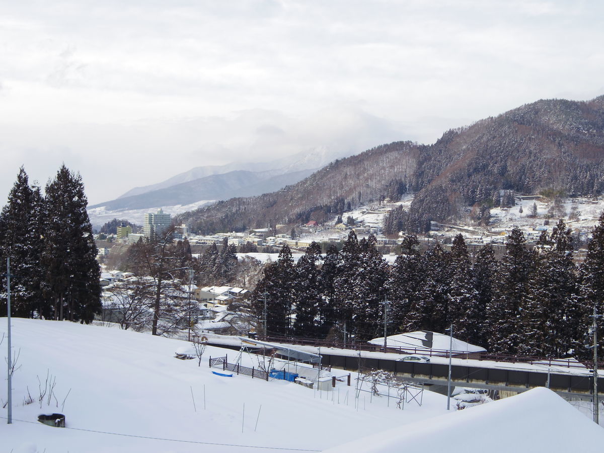 f:id:yu-snfkn:20200205005530j:plain