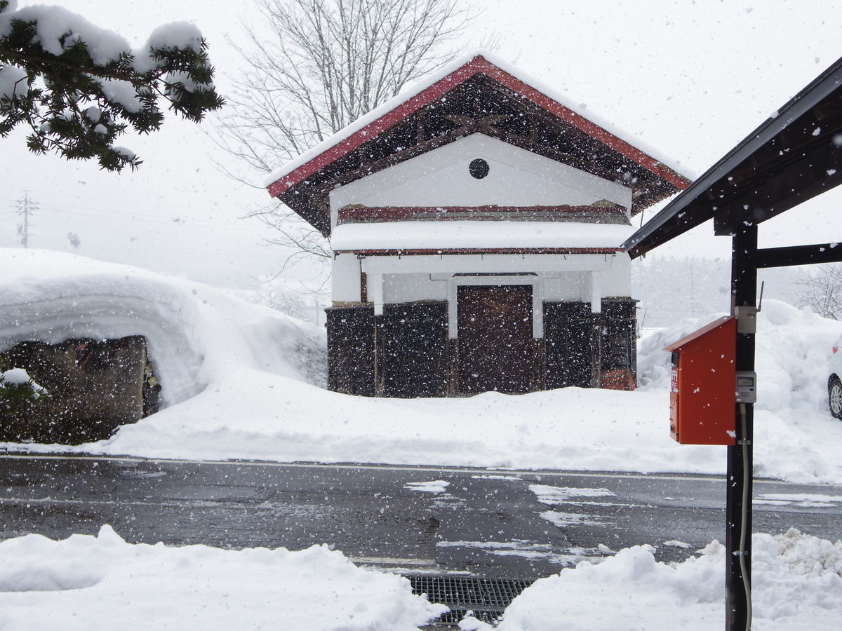 f:id:yu-snfkn:20200205010337j:plain