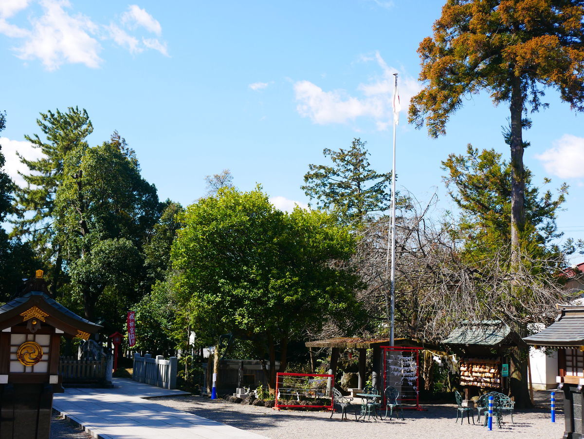 f:id:yu-snfkn:20200322002219j:plain f:id:yu-snfkn:20200322002219j:plain