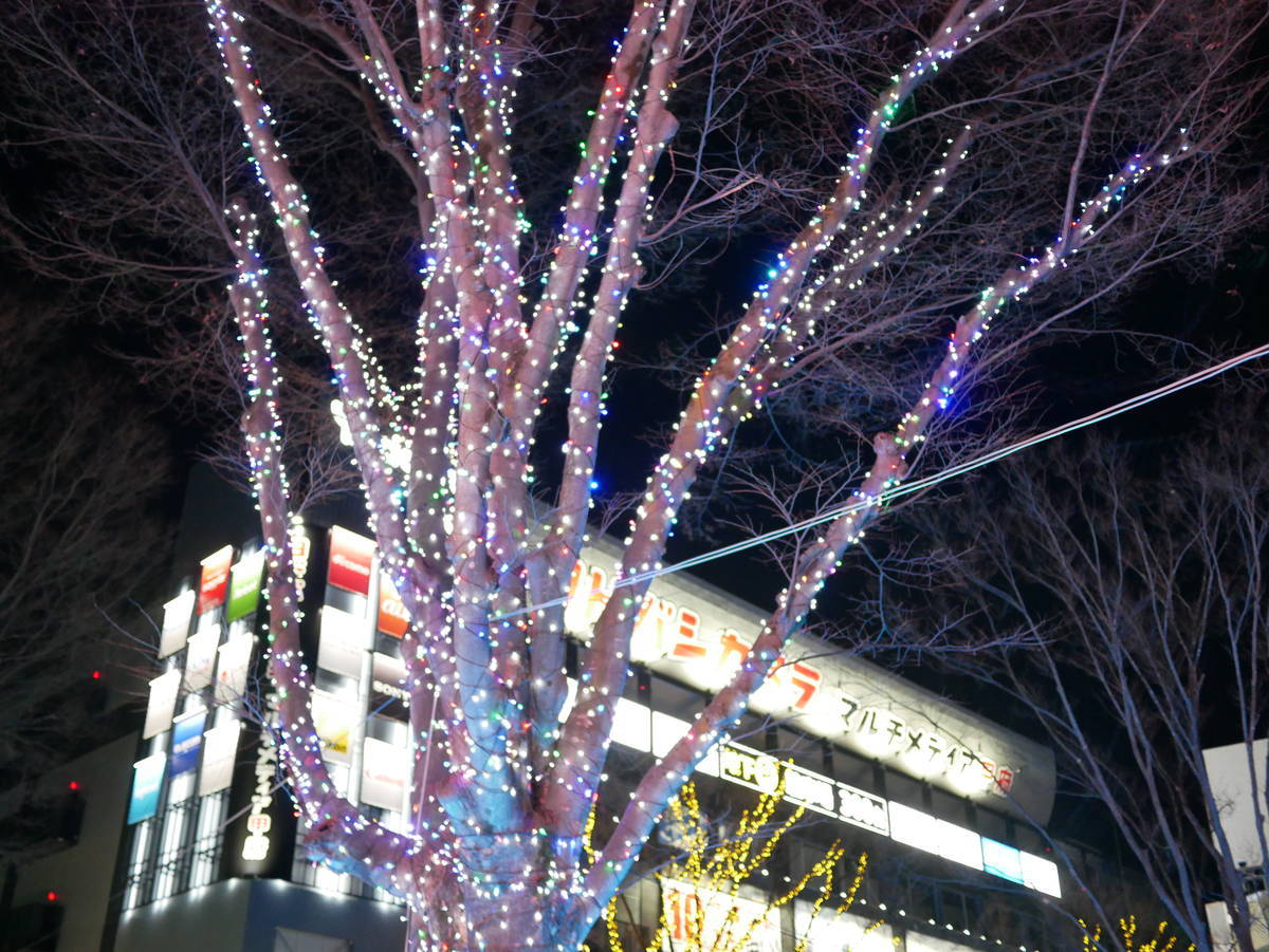 f:id:yu-snfkn:20220108090220j:plain