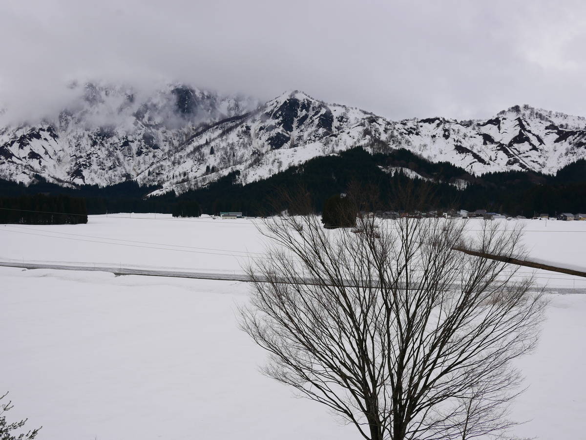 f:id:yu-snfkn:20220405204219j:plain