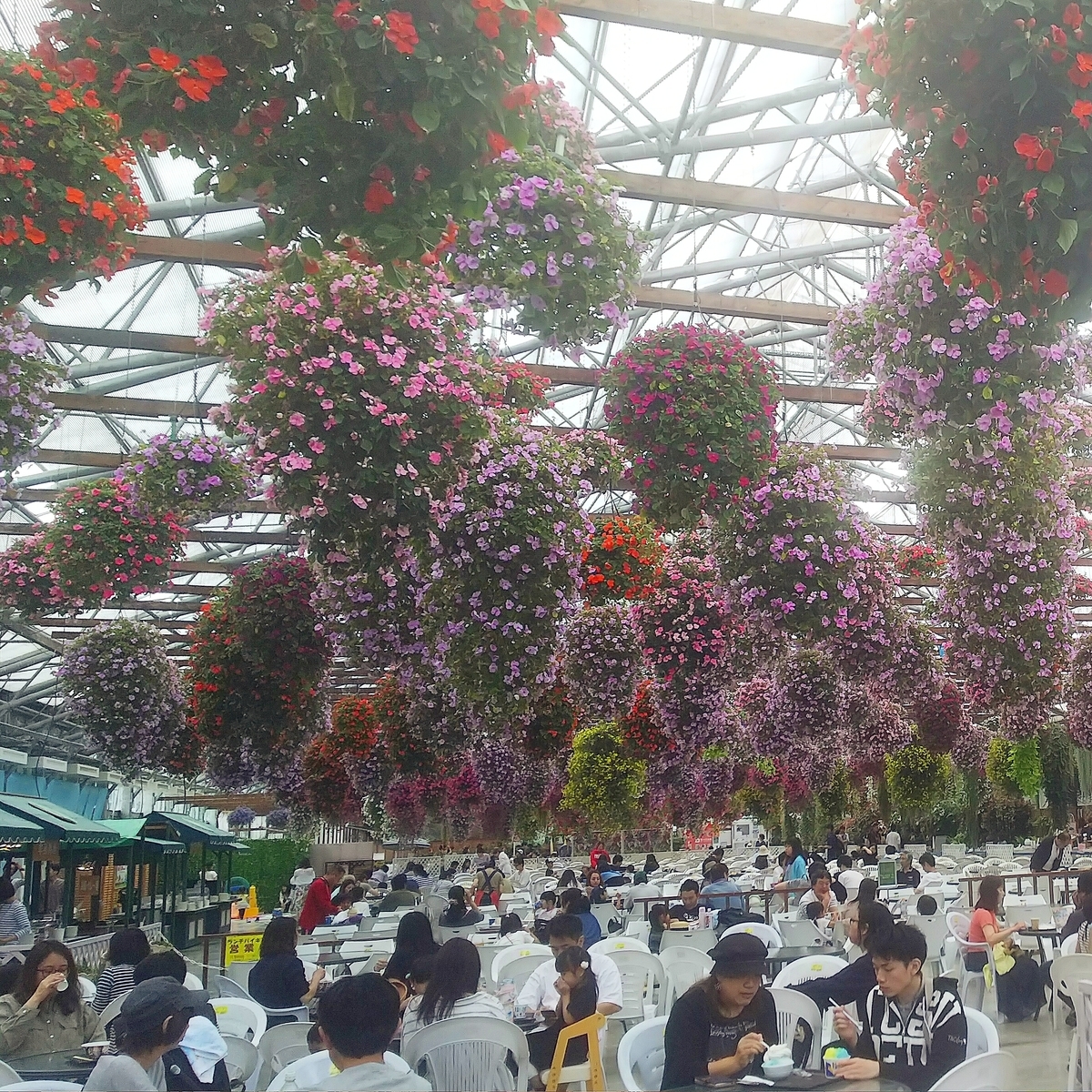 f:id:yu-tana:20190514004806j:plain f:id:yu-tana:20190514004806j:plain