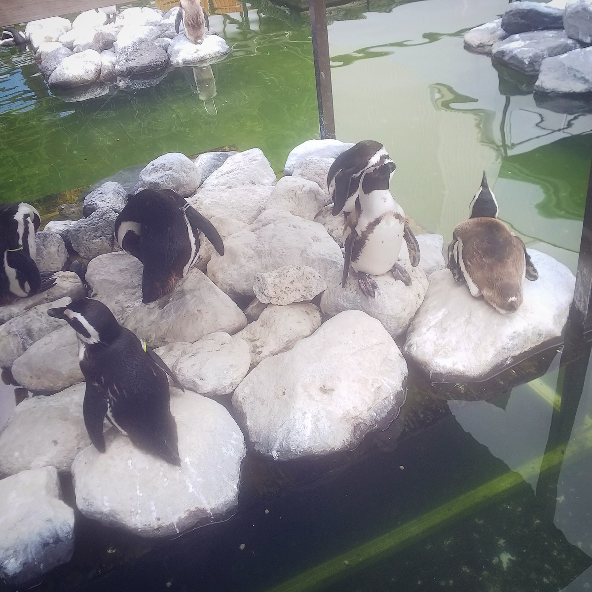 f:id:yu-tana:20190514004828j:plain f:id:yu-tana:20190514004828j:plain