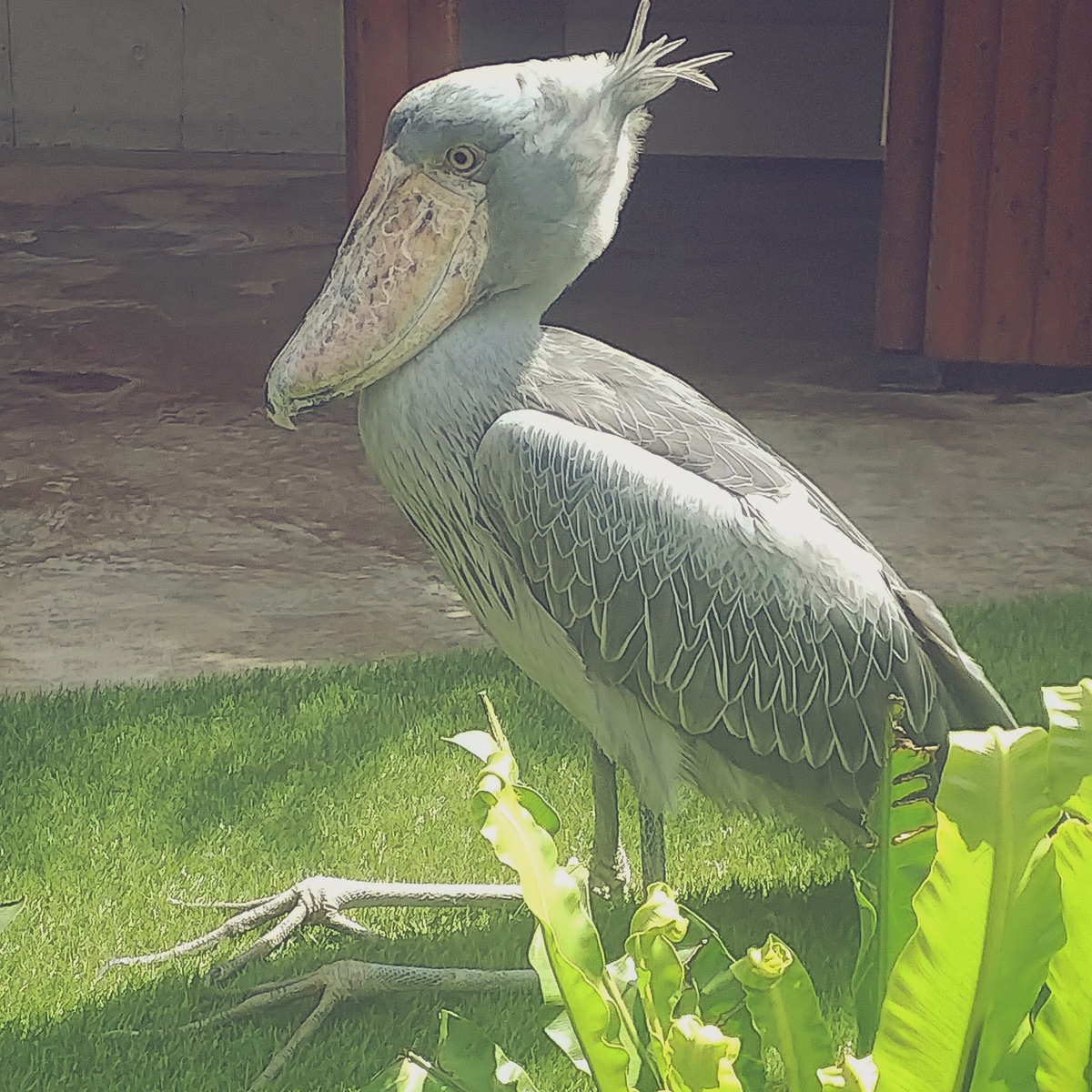 f:id:yu-tana:20190514005115j:plain f:id:yu-tana:20190514005115j:plain
