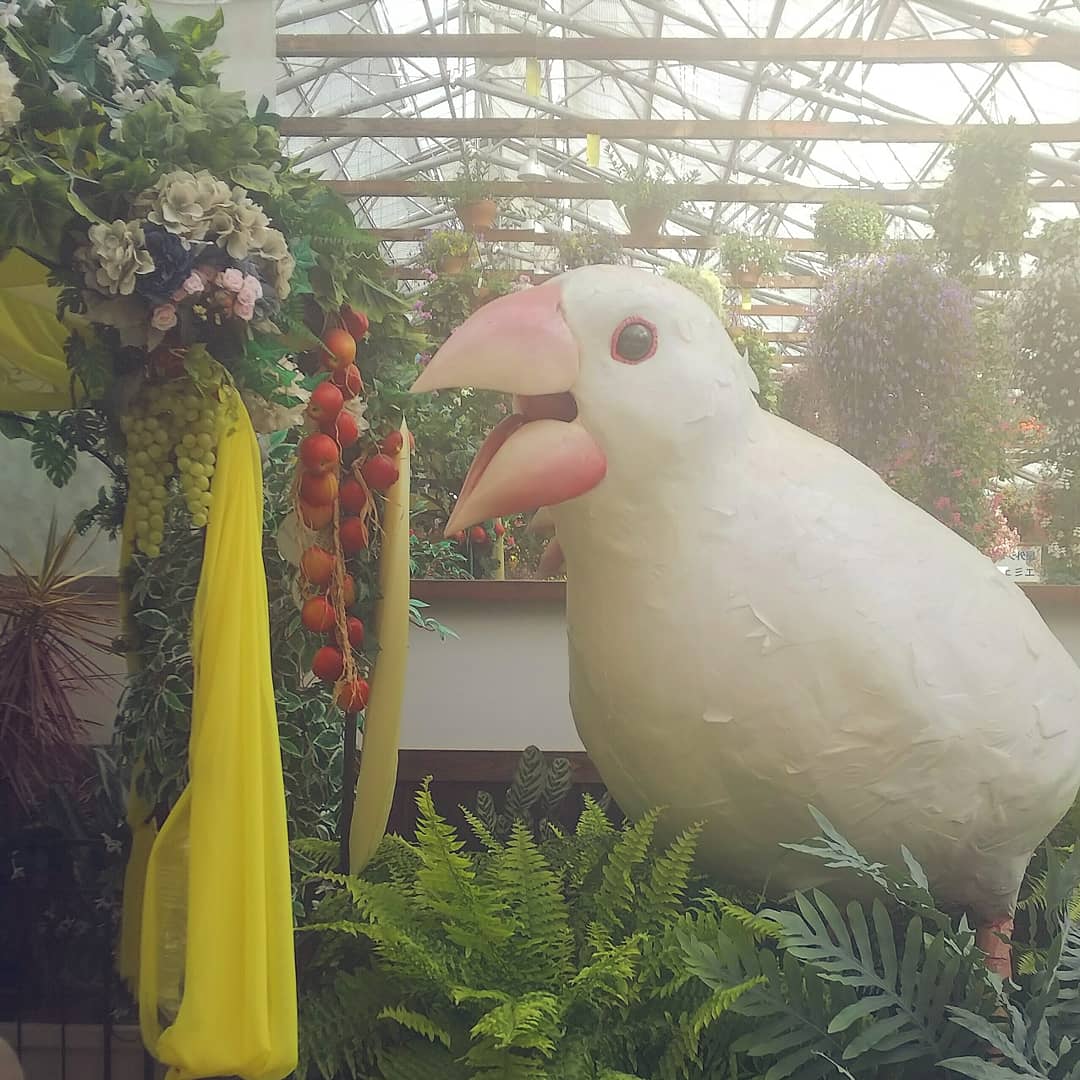 f:id:yu-tana:20190514005217j:plain f:id:yu-tana:20190514005217j:plain