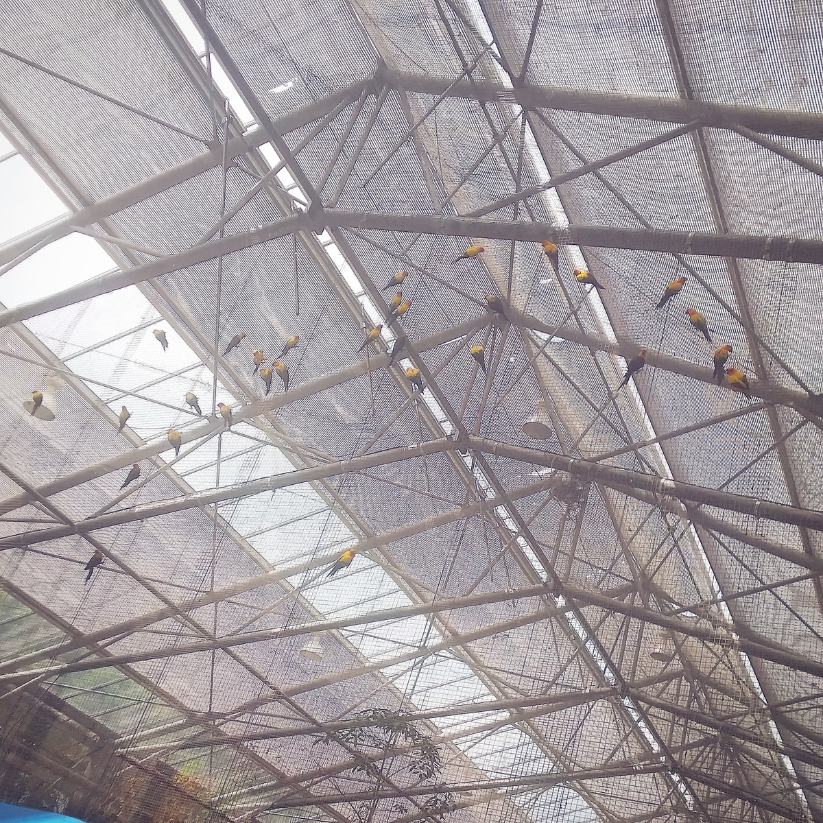 f:id:yu-tana:20190514005304j:plain f:id:yu-tana:20190514005304j:plain
