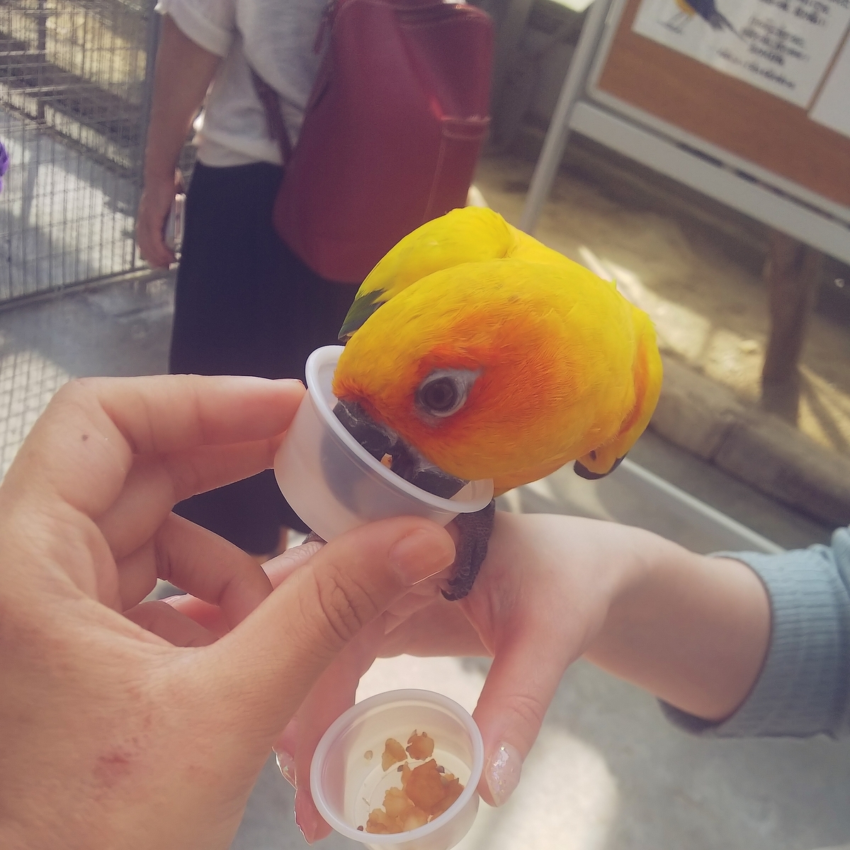 f:id:yu-tana:20190514005414j:plain f:id:yu-tana:20190514005414j:plain