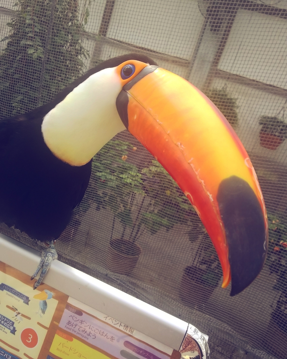 f:id:yu-tana:20190514005612j:plain f:id:yu-tana:20190514005612j:plain