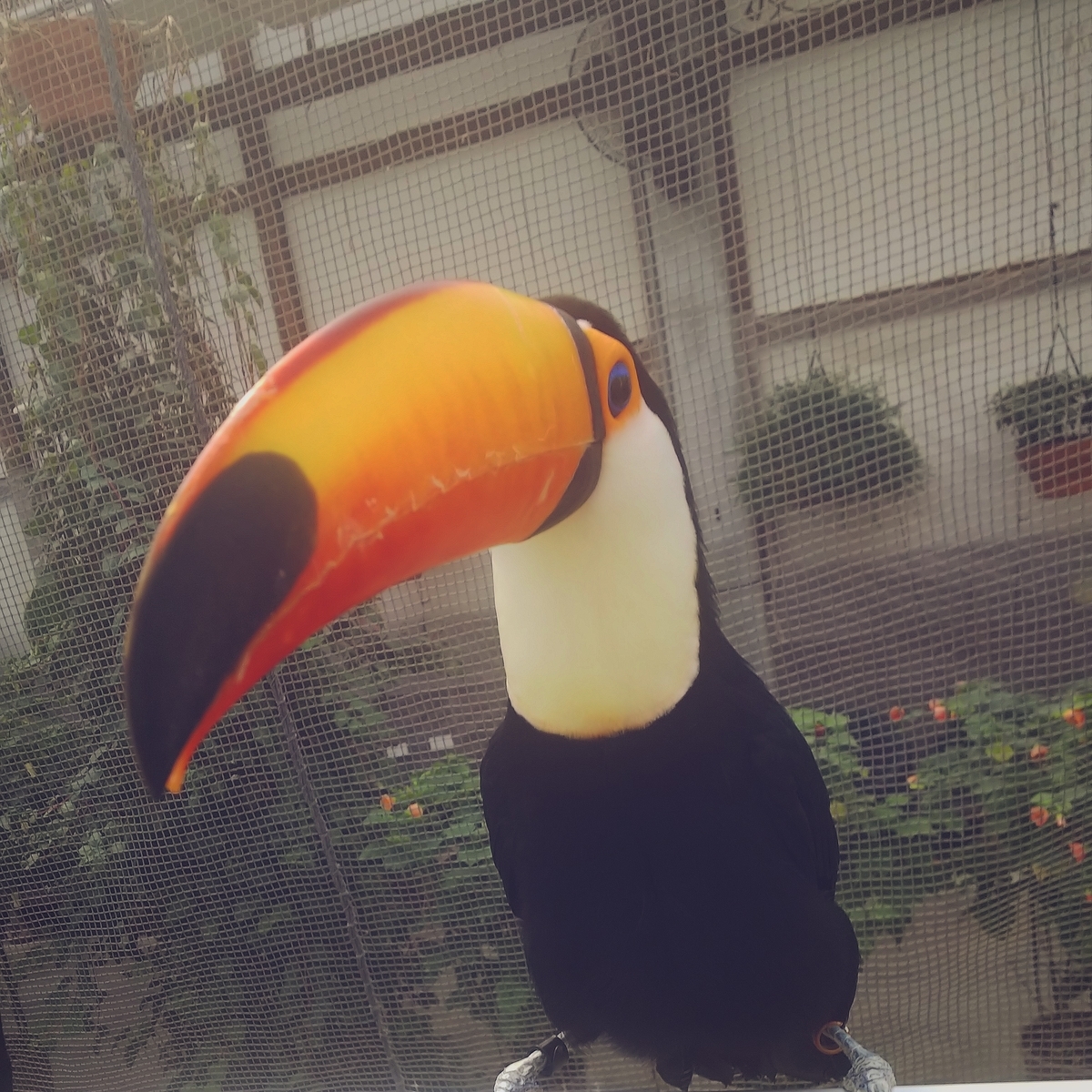 f:id:yu-tana:20190514005936j:plain f:id:yu-tana:20190514005936j:plain