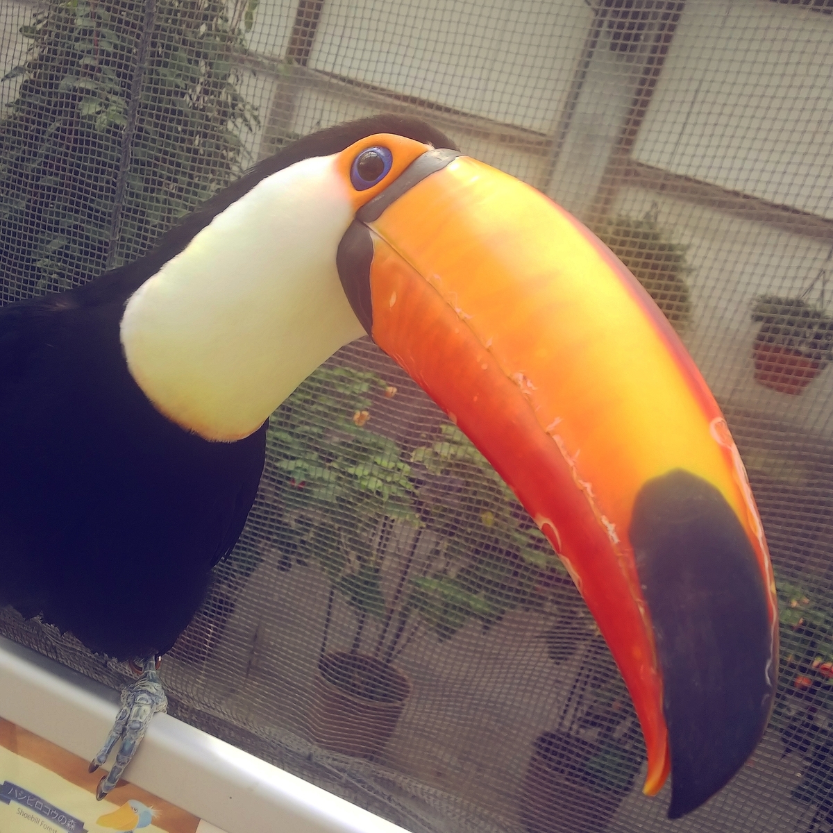 f:id:yu-tana:20190514011005j:plain f:id:yu-tana:20190514011005j:plain