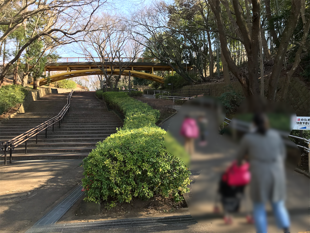 f:id:yu-totto:20200202222722p:image