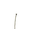 f:id:yu-za-mei:20081224210505j:image f:id:yu-za-mei:20081224210505j:image