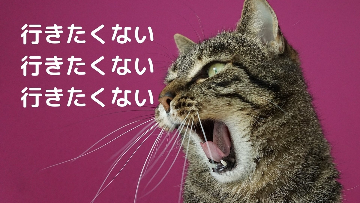 f:id:yu-zu_ki:20200728200617j:plain