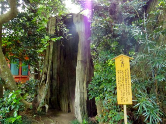 三本杉