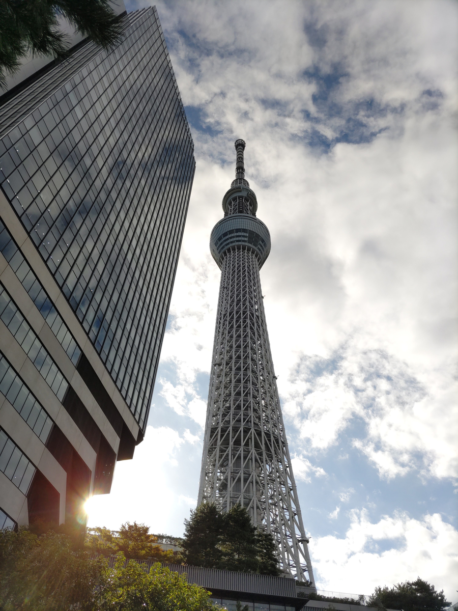 入手困難！超希少！　東京スカイツリー 開業記念 手ぬぐい 東京スカイツリー～切手と切符