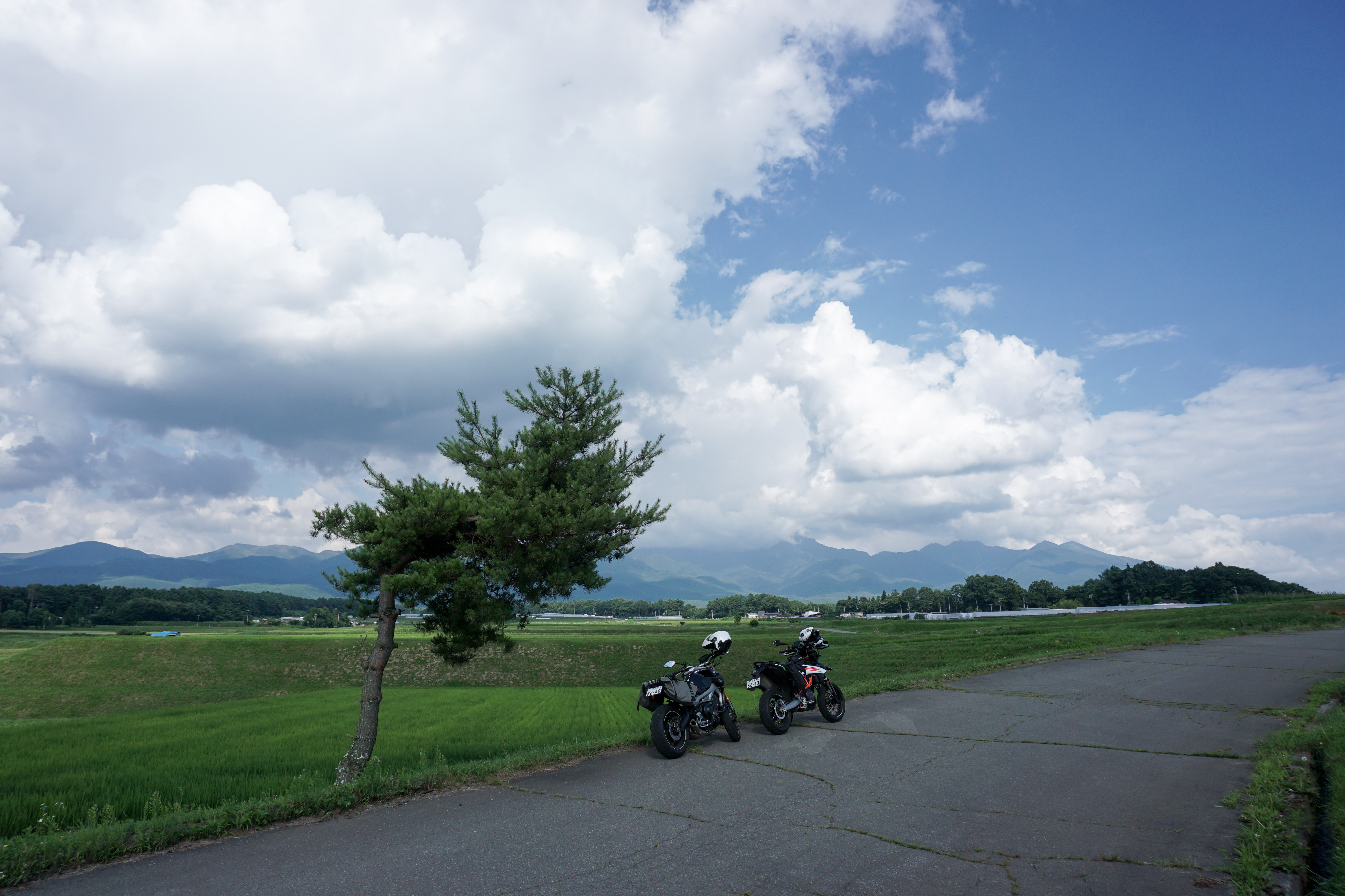 f:id:yu11ta03milky:20230727203005j:image