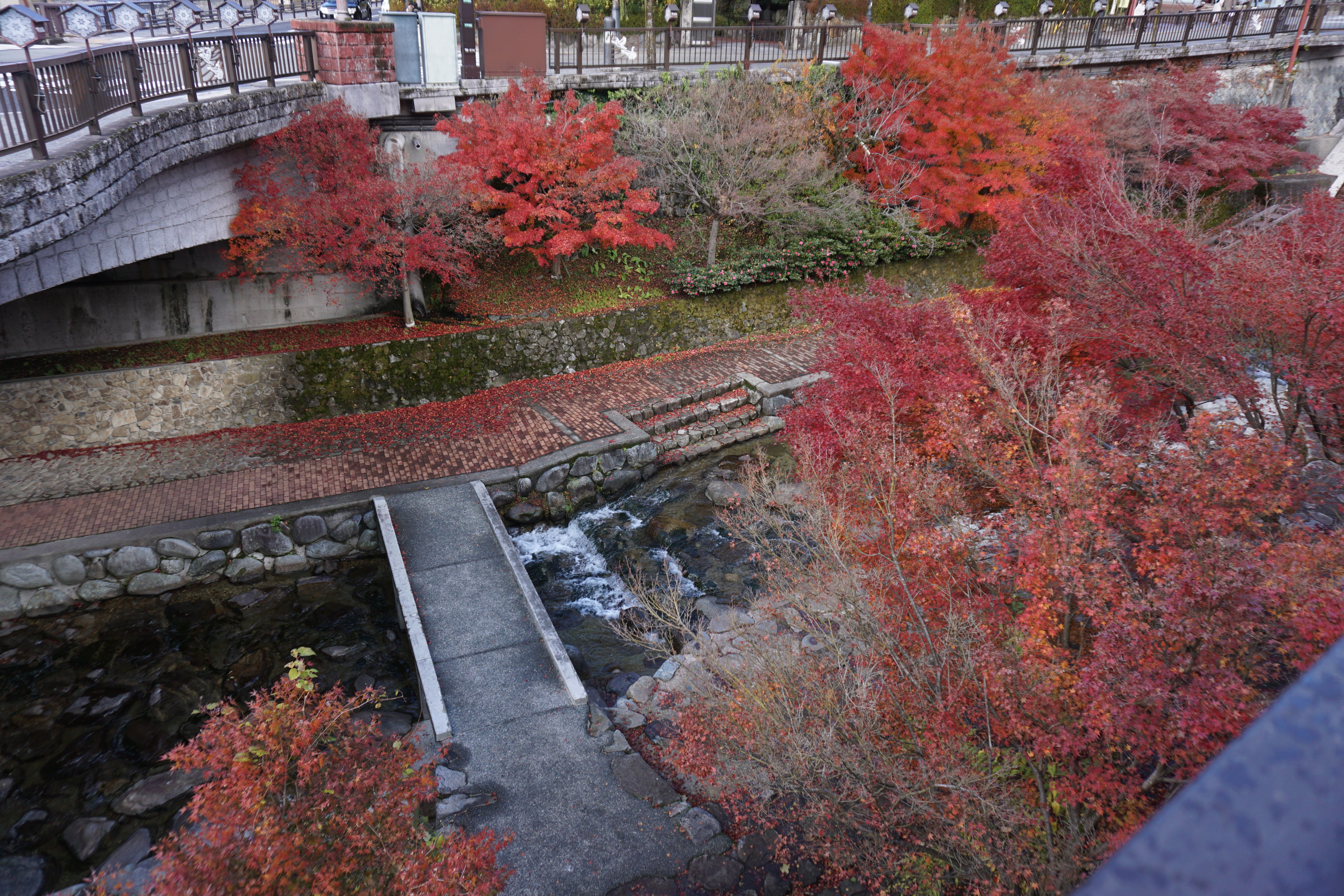 f:id:yu11ta03milky:20231202224627j:image