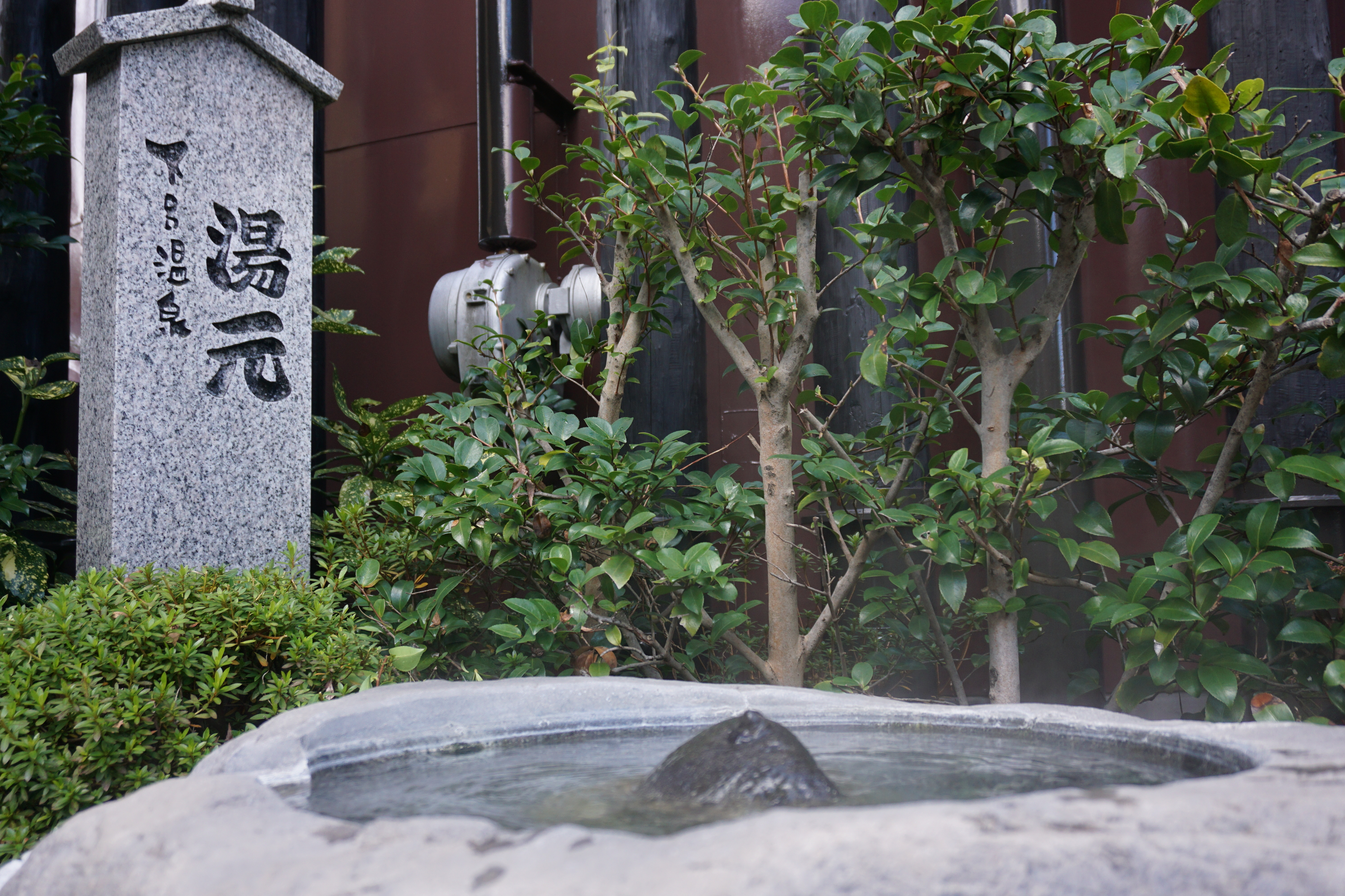 f:id:yu11ta03milky:20231202232106j:image