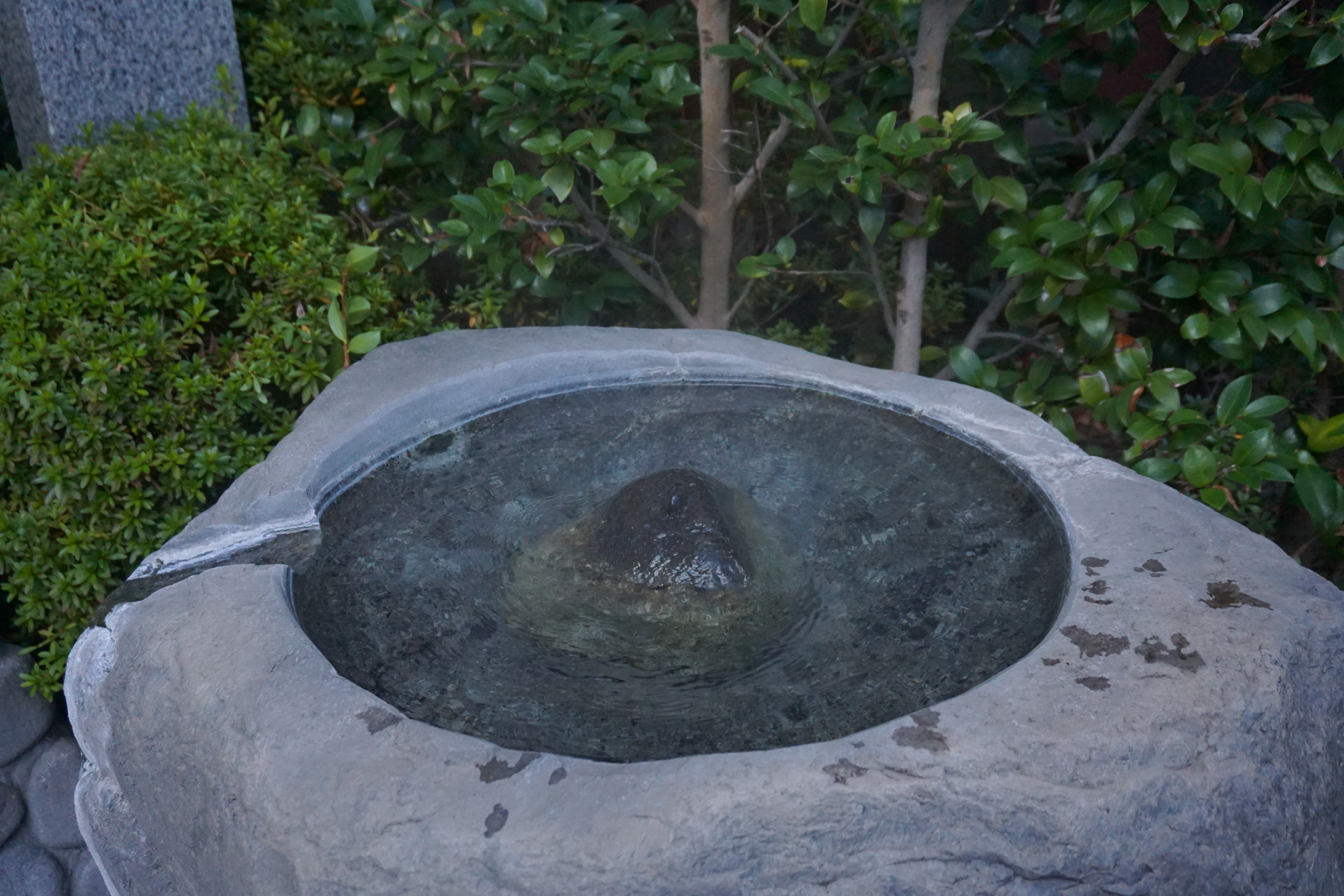 f:id:yu11ta03milky:20231202232126j:image