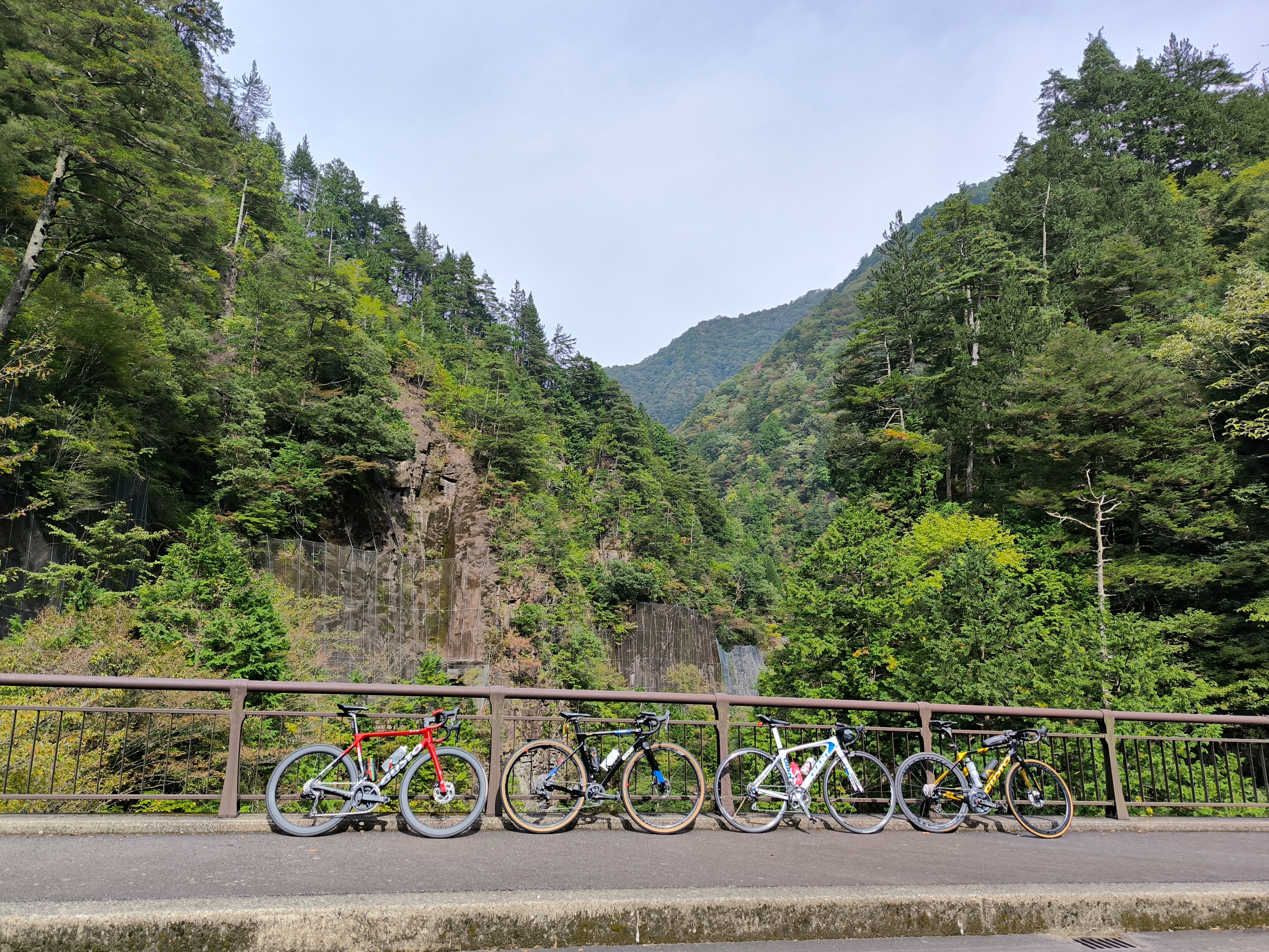 f:id:yu11ta03milky:20241027131857j:image