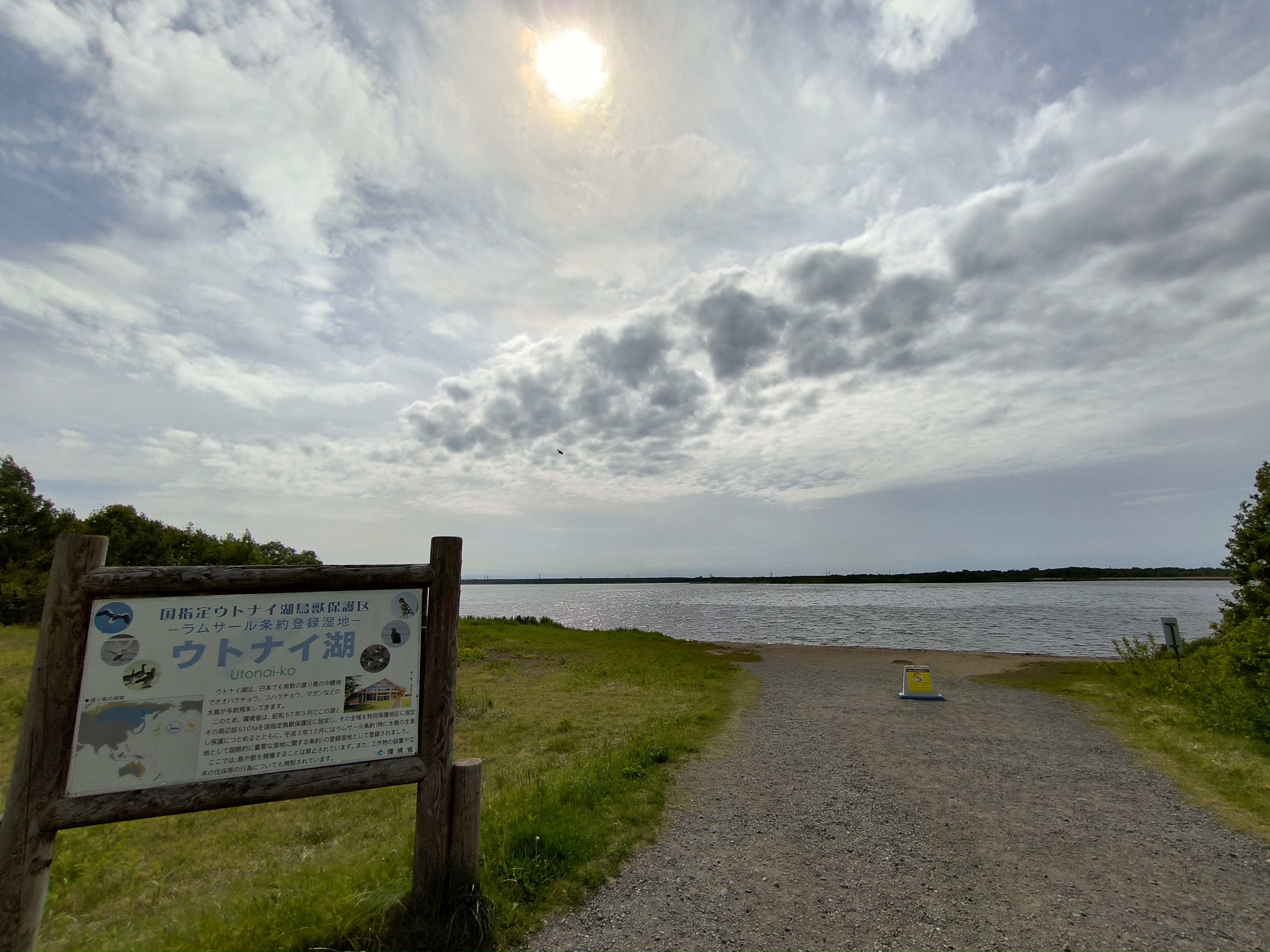 f:id:yu11ta03milky:20241104161935j:image