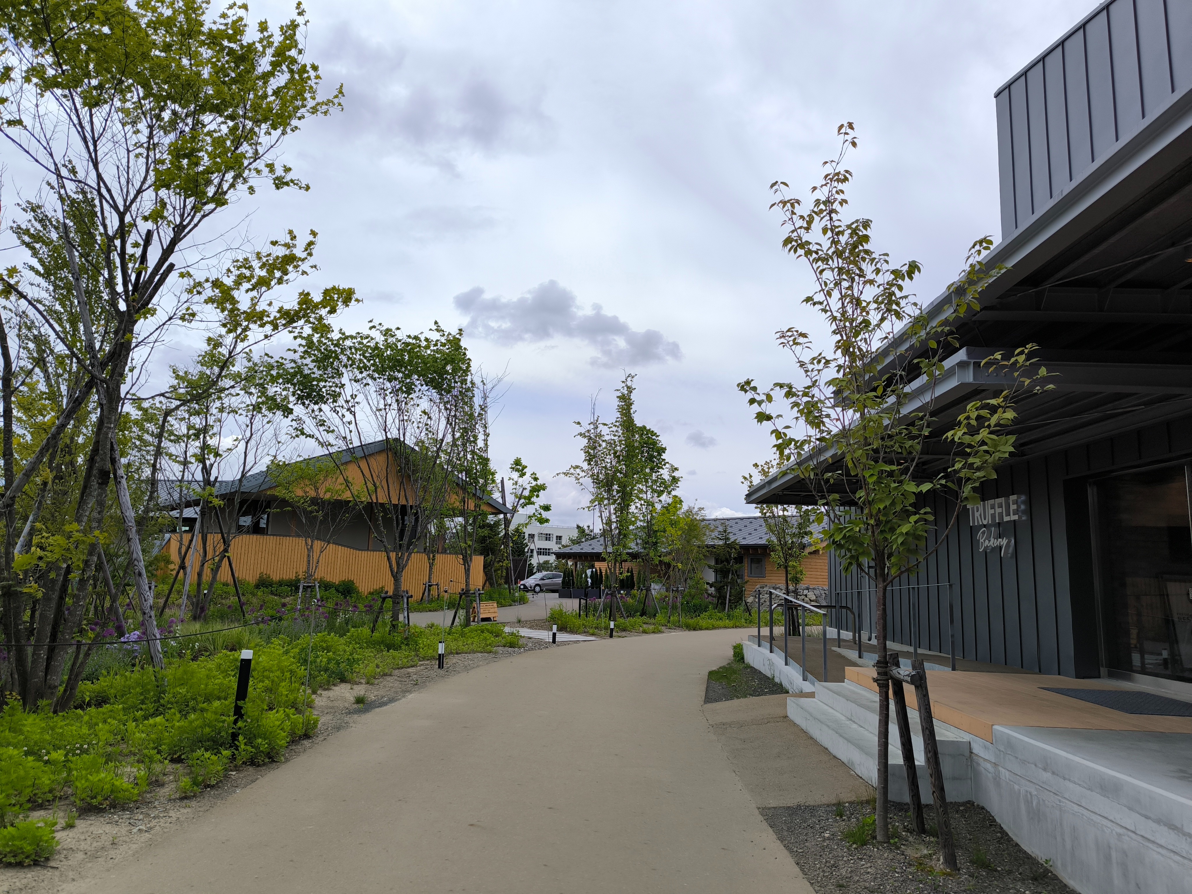 f:id:yu11ta03milky:20241104162148j:image