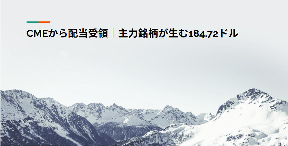 CMEから配当受領｜主力銘柄が生む184.72ドル