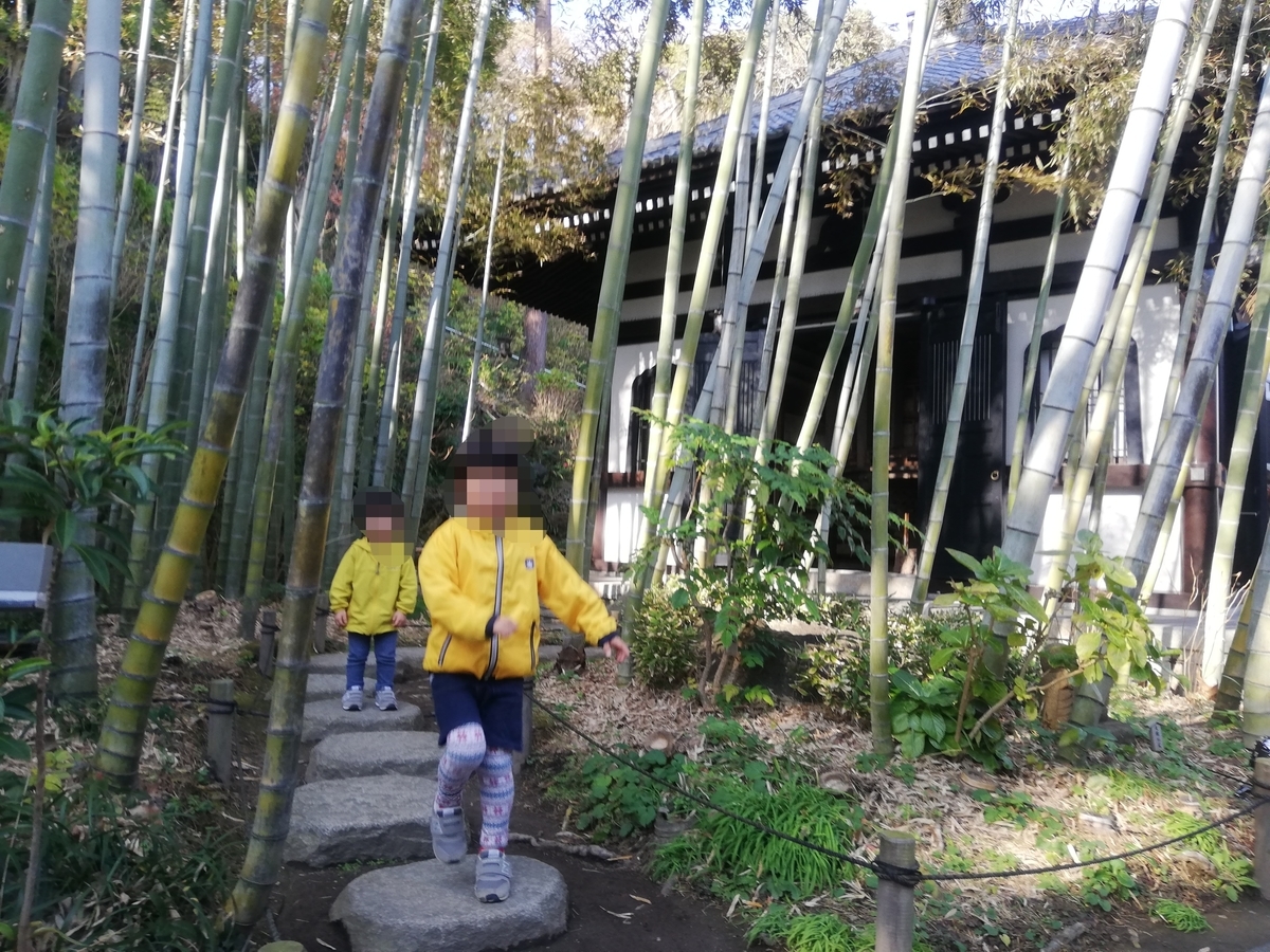 f:id:yu3mama:20191221130708j:plain f:id:yu3mama:20191221130708j:plain