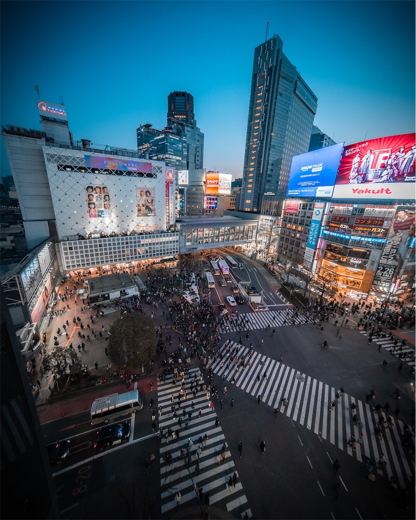 f:id:yu6101_photo:20200620182138j:image f:id:yu6101_photo:20200620182138j:image