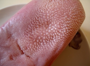 f:id:yu666:20020101000935j:image f:id:yu666:20020101000935j:image