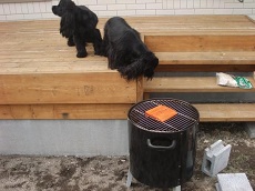 f:id:yu666:20100607030221j:image f:id:yu666:20100607030221j:image