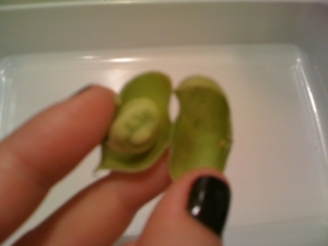 f:id:yu666:20101129194103j:image f:id:yu666:20101129194103j:image