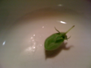 f:id:yu666:20101129194259j:image f:id:yu666:20101129194259j:image